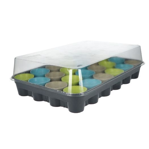 Buzzy Flower Seed Advent Calendar