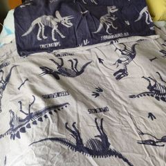 Dinosaur single duvet set (reversible)