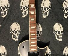 Harley Benton body les Paul Custom vintage line series Floyd rose electric guitar parts accessories