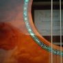 Takamine Image 5