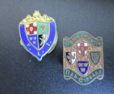 Irish Football Badges: Official Fli