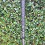 Ping iSi K 7 Iron Black Lie Angle JZ Steel Shaft Mens RH Image 5