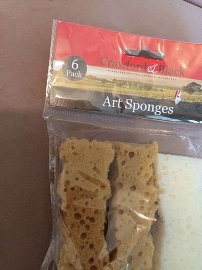 art and craft 6 pack art sponges