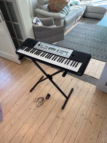 Yamaha-YPT 255
