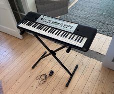 Yamaha-YPT 255