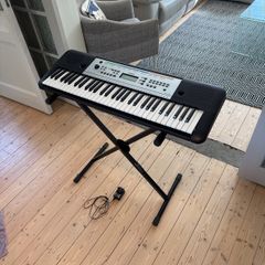 Yamaha-YPT 255