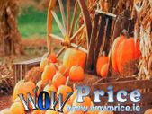 200x300cm 7X10ft Photography Background Pumpkin Farm