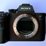 Sony Alpha 7 R III Image 4