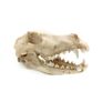 Reptile Nova Terrarium Ornament RN1055-CR Image 2