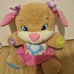 Fisher-Price Educational Interactive Teddy Bear