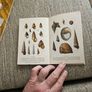 Animals And Plans Of The Sea. Authors: G. Mandahl-barth And M.l. Bauchot  Illustrator: Henning Anthon  Publisher: Fernand Nathan. Beautiful Illustrated Paperback In Good Condition.  See Photos For Same. Image 9