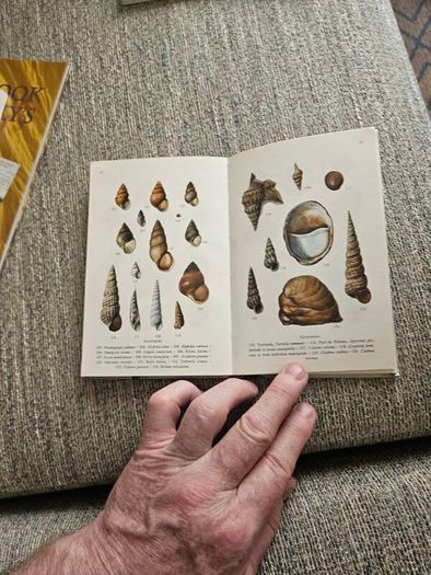 Animals And Plans Of The Sea. Authors: G. Mandahl-barth And M.l. Bauchot  Illustrator: Henning Anthon  Publisher: Fernand Nathan. Beautiful Illustrated Paperback In Good Condition.  See Photos For Same.