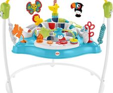 Fisher-Price Colour Climbers Jumperoo