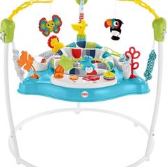 Fisher-Price Colour Climbers Jumperoo