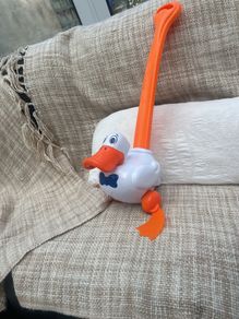 push along duck