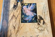Good Faeries Bad Faeries. By Brian Fraud. First Edition Large Volume Paperback In Good Condition.  See Photos For Same.