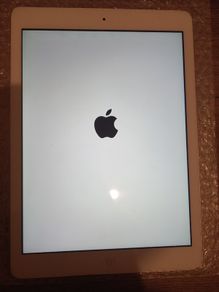 Apple iPad