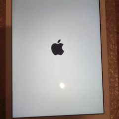 Apple iPad