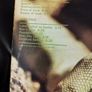 Iguana lp UK 1st press Image 4