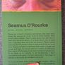 Seamus O' Rourke / A Lock of Poems..../ 1ed., Signed/ 2019 Image 2