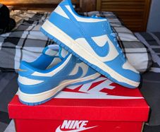 Nike Dunks