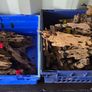 Dragon Wood Mix Sizes Image 2
