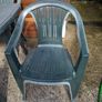 Garden Table&Chairs Image 3