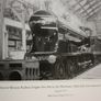 Robert Chapman's Ireland. Image 4