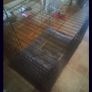 Large Dog Cage With Bed. Image 5