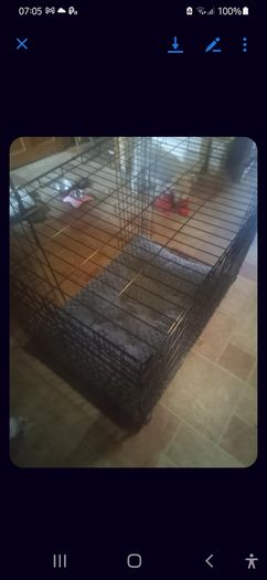 Large Dog Cage With Bed.