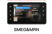For Peugeot Citroen Wireless Carplay adapter Android Auto module SMEG 208 2008 308 508 3008 &amp; C4 DS3 DS5 Support Reverse Camera