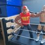 WWE action Figures Image 3