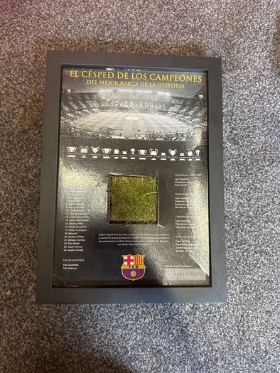 Barcalona camp nou grass