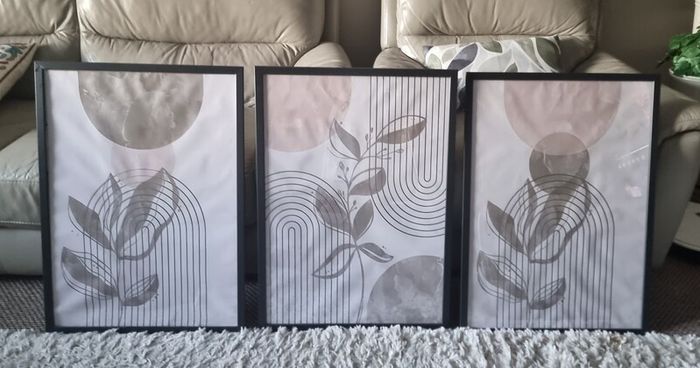 Framed canvas artwork