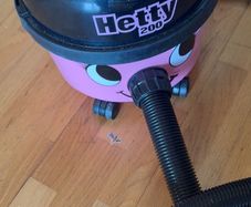 hetty