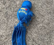Kong toy
