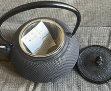 Nanbu Tekki Japanese teapot NEW in box