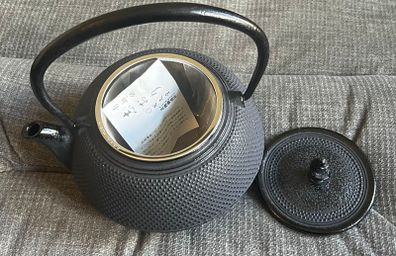 Nanbu Tekki Japanese teapot NEW in box