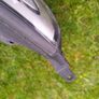 2 Genuine Hyundai i30 Halogen Headlights Image 9
