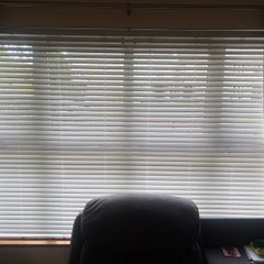 Venetian Blind