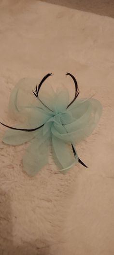 Ladies fascinator