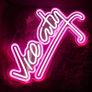 Vice City Neon Sign Pink White Led Sign for Bedroom Wall Decor USB Powered Letter Neon Light for Game Room, Man Cave, Gaming Zone (FREE POSTAGE) Image 2