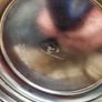 Silver plate x3 Image 9