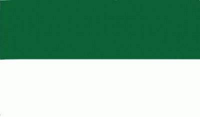 Huge Green white flag 15 x 10 foot !!!