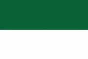 Huge Green white flag 15 x 10 foot !!!