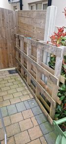 FREE large pallet