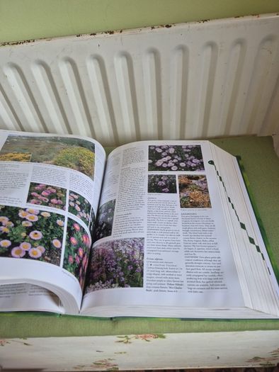Flora The Gardener's Bible with CD