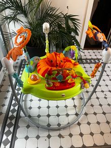 Baby Bouncer