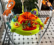 Baby Bouncer