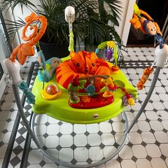 Baby Bouncer